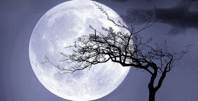 La luna y la piedra de la luna Adularia